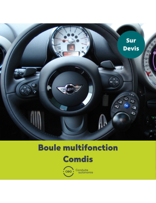 Boule multifonctions Comdis CEA - Conduite et Autonomie - 2 
